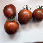 Orange Brown Tomato Seeds