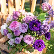 Mixed Colors Lisianthus Seeds
