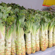 Asparagus Lettuce Seeds