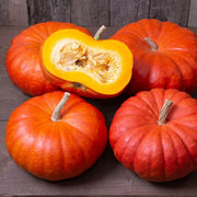Bright Red Pumpkin Seeds
