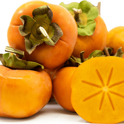 Fuyu Persimmon Seeds