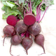 Detroit Dark Red Beet Seeds
