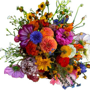 All In One Bouquet Mix Wildflower Seeds