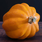Table Gold Acorn Squash Seeds