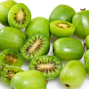 Hardy Kiwi Vine Actinidia arguta Seeds