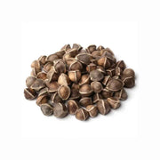 Adenium Obesum Desert Rose Seeds
