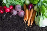 Vegetable Garden Starter Pack Kit