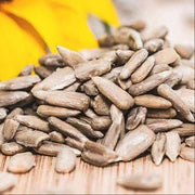Africa Gazania Sunflower Seeds