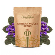 African Violet Seeds – Saintpaulia ionantha