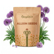 Allium Seeds – Allium spp.