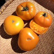 Orange Tomato Seeds