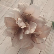 Ash Amaryllis Seeds