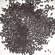Amerikanische Lila Top Rutabaga Seeds