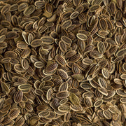 Anethum Graveolens Dill Seeds, Herbal
