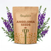 Angelonia Seeds – Angelonia angustifolia