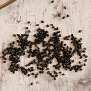 Apache Onion Seeds
