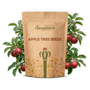 Apple Tree Seeds – Malus domestica