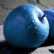 Blue Apple Seeds