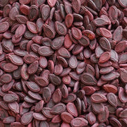 Apple Gourd Seeds
