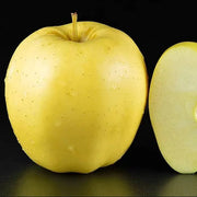 Grimes Golden Apple Seeds