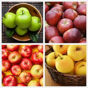 Mixed Apple Seeds