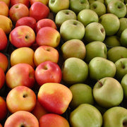 Mixed Apple Seeds