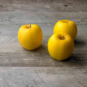 Opal Yellow Apple Seeds