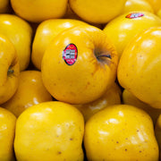 Opal Yellow Apple Seeds