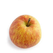 Orange Apple Seeds