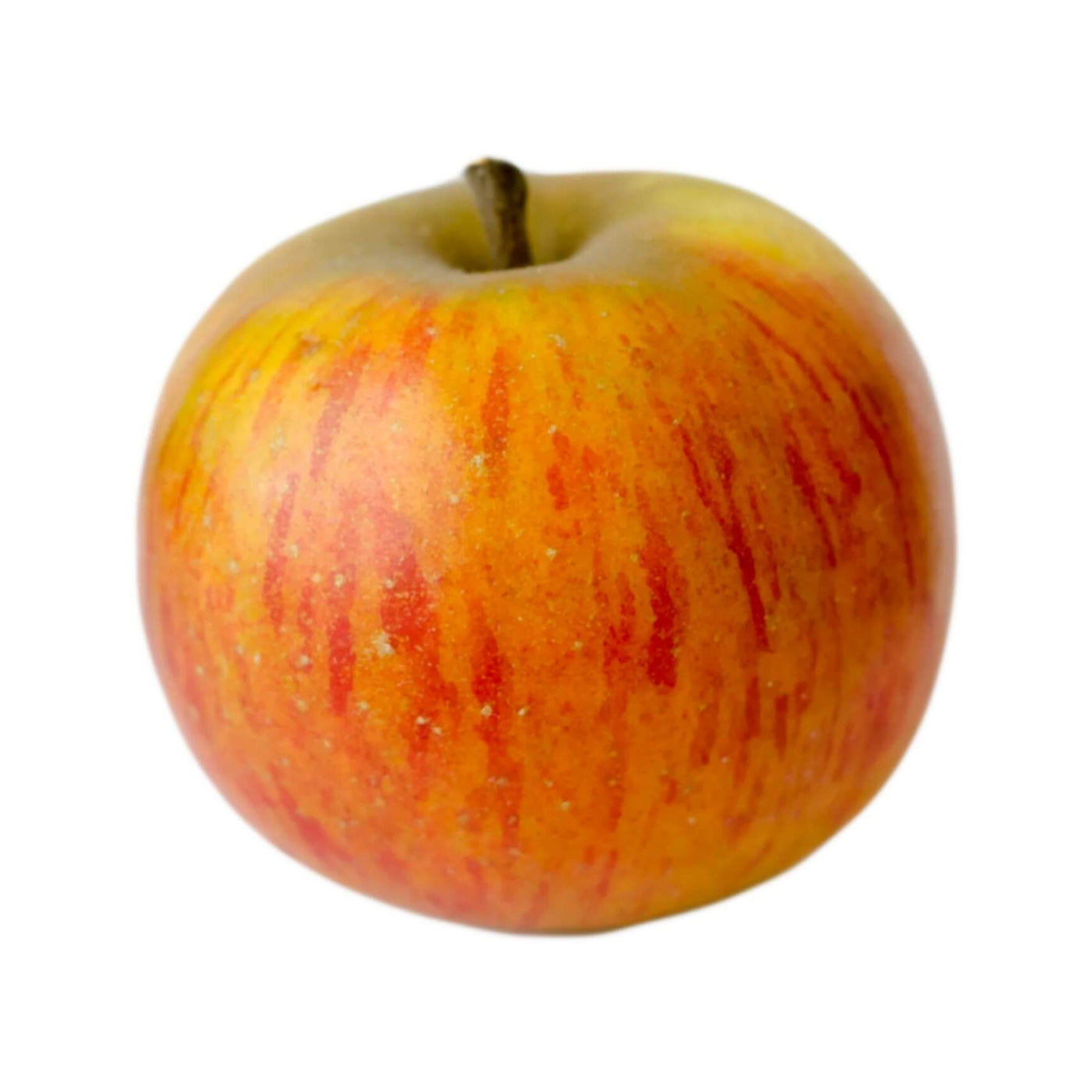 Orange Apple Seeds