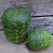 Speckled Apple Seeds