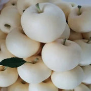 White Apple Seeds