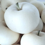 White Apple Seeds