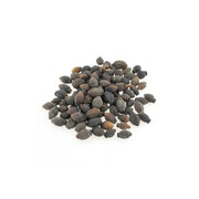 Arabian Fragrant Jasmine Seeds