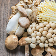 Mixed Mushroom Seeds