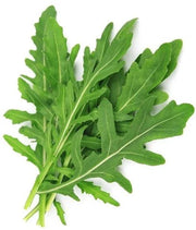 Rucola Coltivata Arugula Seeds
