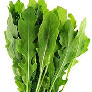 Roquette Arugula Seeds