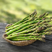 Green Setose Asparagus Seeds