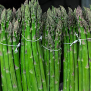 Mary Washington Asparagus Seeds
