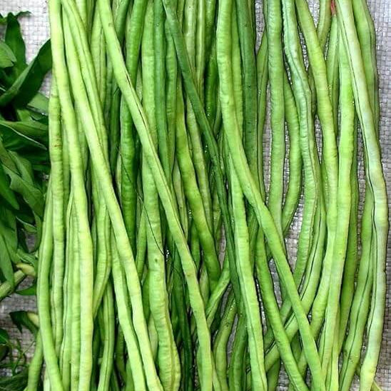 Cowpea Asparagus Bean Seeds