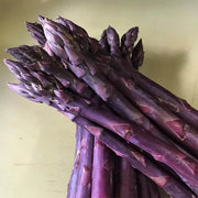 Purple Asparagus Seeds