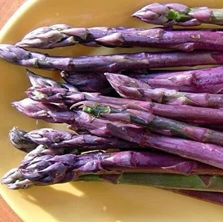 Purple Asparagus Seeds