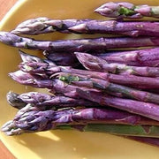 Purple Asparagus Seeds
