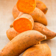 Orange Batatas Sweet Potato Seeds