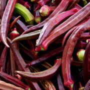Burgundy Okra Seeds