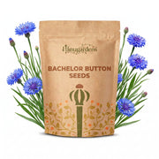 Bachelor Button Seeds – Centaurea cyanus