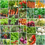 Backyard Vegetable Mix Seeds