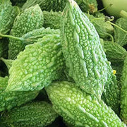 Bitter Melon Balsam Pear Seeds