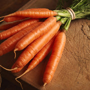 Bambina Carrot Seeds