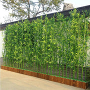 Bamboo Privacy Screen Seeds - Ornamental Bamboo Landscape Seeds